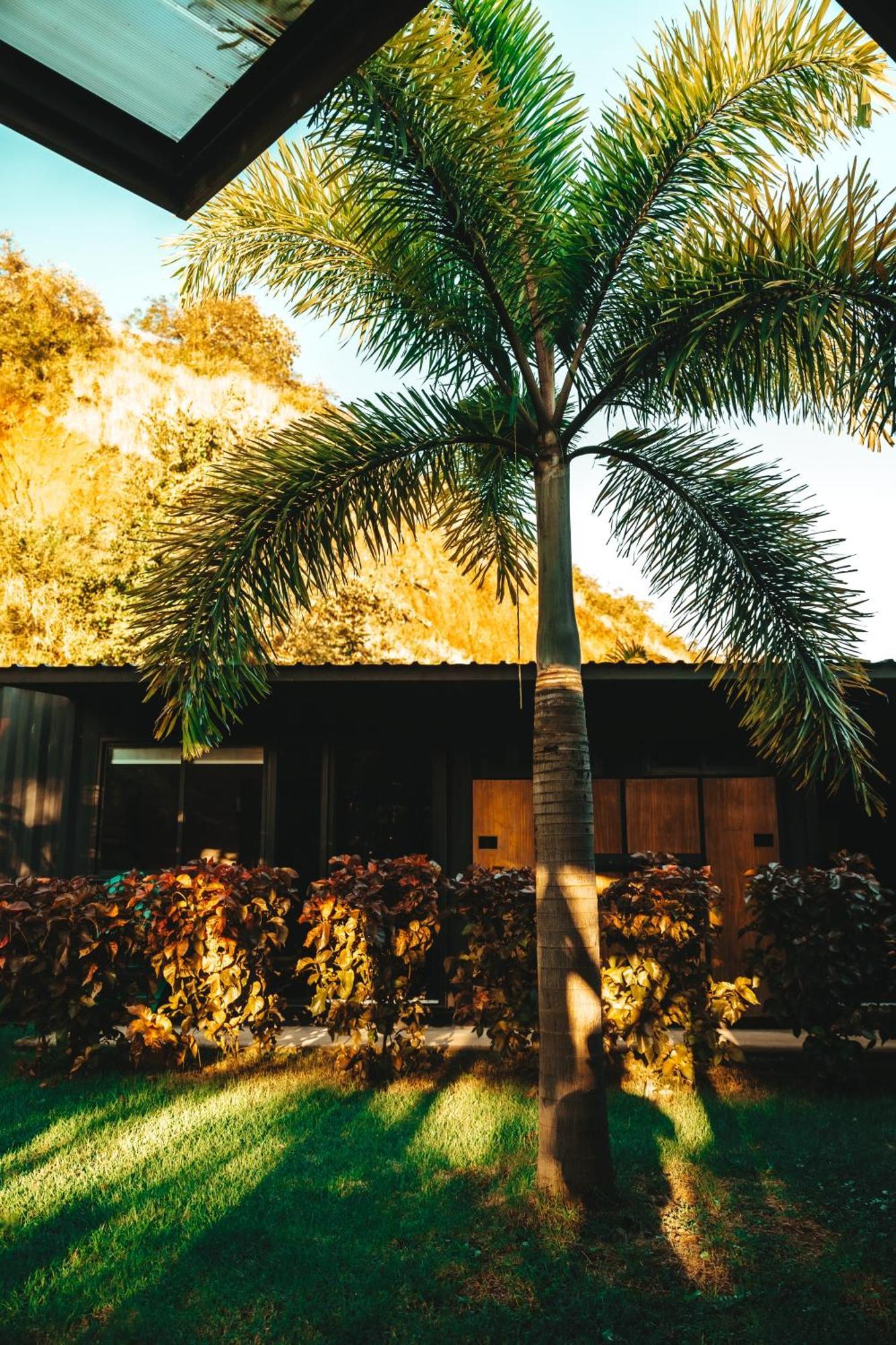 Hotel Wao Jungle Venao Playa Venao Exterior foto